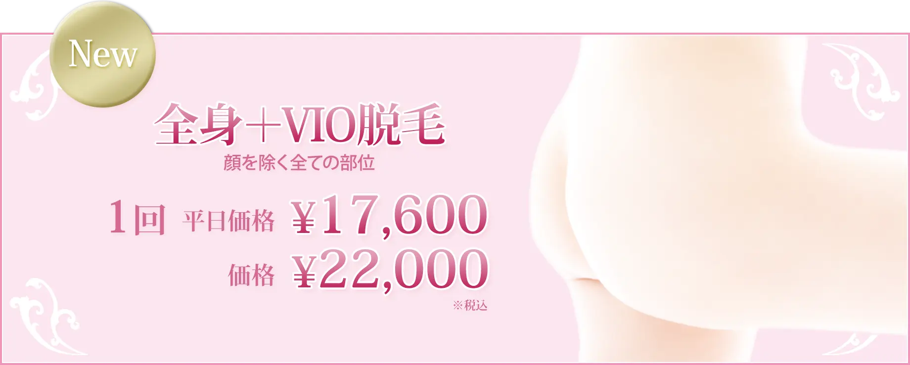 全身+VIO脱毛 顔を除く全ての部位