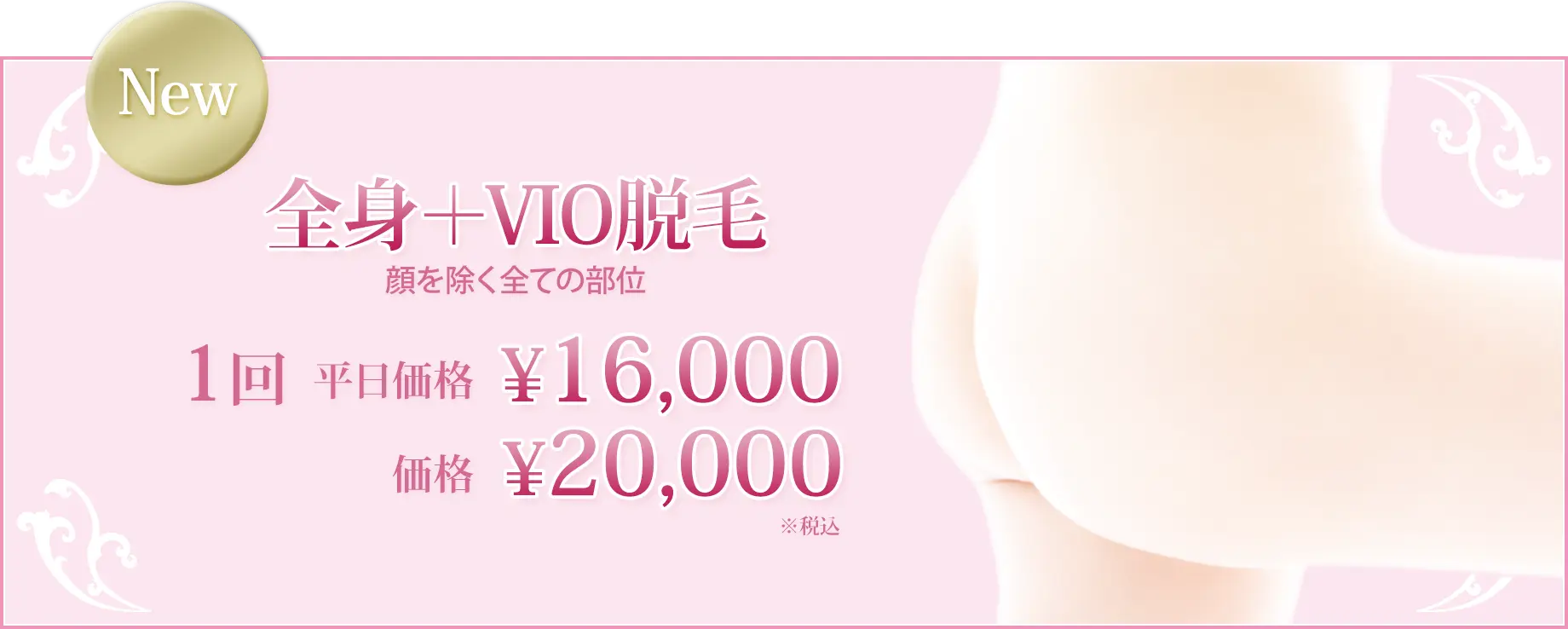 全身+VIO脱毛 顔を除く全ての部位